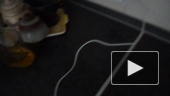 Charger works good and charge my mobile