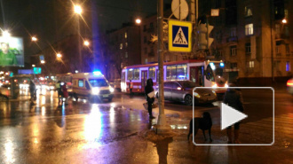Поторопившийся водитель сбил женщину на улице Ленсовета