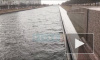 В Петербурге за ночь повысился уровень воды