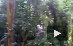 В Южно-Приморском парке сильно травмирована 11-летняя девочка, упавшая с тарзанки