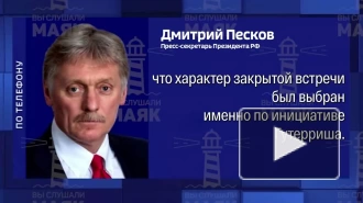 Песков рассказал, почему встреча Путина и Гутерреша была закрытой