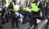 В Лондоне на акции протеста задержали 29 человек