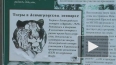 Амадей, но не Моцарт. В Ленинградском зоопарке полосатый ...