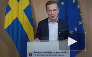Премьер Швеции призвал сохранять спокойствие после акции с сожжением Корана