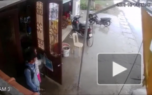 Водитель автобуса не любит пассажиров.