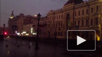 Гроза в Петербурге: упавшие деревья разбили припаркованные автомобили, ожидаются дожди