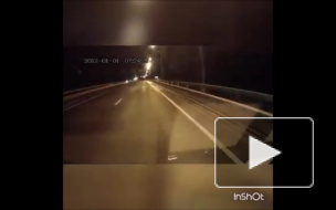 Неожиданно.