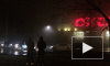 Пожар в "ОКей" на Выборгском шоссе потушили: магазин серьезно пострадал