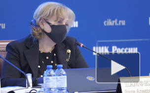 ВЦИОМ опубликовал данные о поддержке россиян поправок в Конституцию