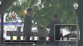 Представитель лесозаготовительной компании признана судом виновной в даче взятки