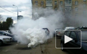 Поджог редакции МК попал на видео