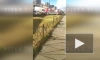 Видео: в Доме связи петербургской подземки на Одоевского произошло короткое замыкание