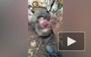 Кадыров: спецназ "Ахмат" отбил у ВСУ опорный пункт возле села Веселое в ДНР