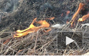 Видео: пожарная охрана ликвидировала возгорание сухой травы напротив Выборгского судостроительного завода