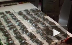 У молодого петербуржца нашли более 400 граммов кокаина, гашиша и МДМА