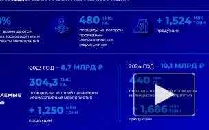 На поддержку аграриев с проектами по мелиорации в 2023 году выделят 8 млрд рублей