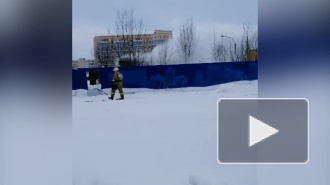 Несколько пожарных расчетов тушат бытовку в Купчино