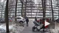 В Петербурге водитель сломал челюсть прохожему за ...