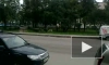 Выпас баранов на Среднем проспекте Васильевского острова