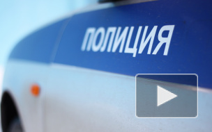 Петербурженку ограбили на 9 млн на проспекте Просвещения