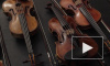 Филармонии подарили скрипку современного Страдивари