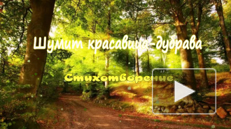 Шумит красавица-дубрава...