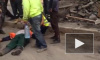 Видео: на Дальневосточном проспекте агрессивный водитель сбил дорожных рабочих