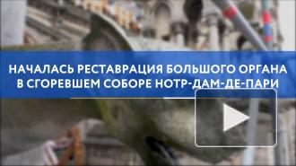 В Париже началась реставрация органа в сгоревшем соборе Нотр-Дам-де-Пари