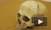 На "Ленфильме" показали человеческий череп, который был вырыт могильщиком