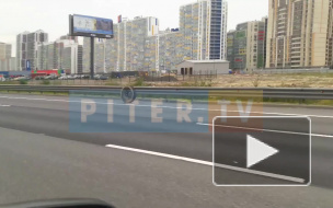 Видео: фургон потерял два колеса во время движения на КАД