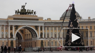 В Петербурге на Дворцовой площади 20 декабря пройдет зажигательный предновогодний флешмоб