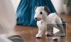 Собака Sony Aibo скоро сможет спокойно ходить и исполнять сложные танцевальные номера