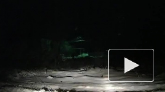 Видео: сбит пешеход в Республики Марий Эл
