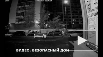 Видео: на Богатырском женщина украла дерево вместе с клубнем