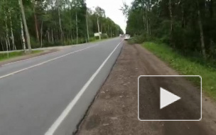 У поселка Саперный иномарка угодила в кювет