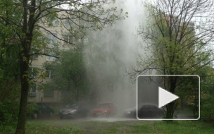 Появилось видео рекордного фонтана кипятка на Товарищеском проспекте