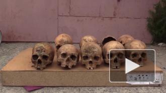 В Волгограде у "черного копателя" обнаружили арсенал оружия времен ВОВ и человеческие кости