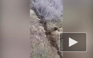 В Тбилиси опасаются схода грандиозного оползня в одном из жилых микрорайонов