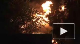 Ночью в Приморском районе вспыхнул частный дом