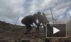 Минобороны РФ показало кадры боевой работы минометов
