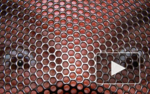 В квартире на улице Добровольцев муж убил жену-пристава, а потом совершил самоубийство