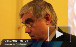 Гнетов: На выборах в Петербурге зафиксировано всего 2 нарушения