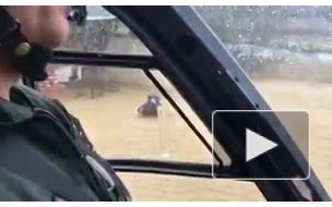 Появилось видео спасения человека и собаки на вертолёте в Малаге