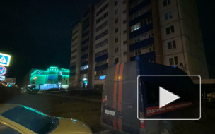 Стало известно, что на месте убийства подростка в Колпино стреляли два раза