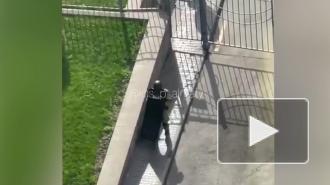 Мужчина открыл стрельбу в ЖК в Казахстане и угрожает взрывом