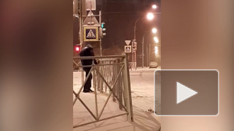 На 2-ом Муринском проспекте неизвестный пытался срезать дорожное ограждение
