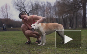 Экоактивисты напомнили о климате в купальниках и шортах в Таврическом саду 