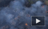 В чернобыльской зоне отчуждения снова горят леса 
