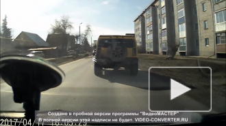 Ничего не предвещало беды.