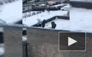 Петербуржцев удивили дети, играющие на крыше